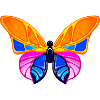 butterfly 02