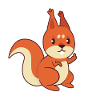 squirrel