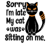 Chat assis noir