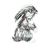 Hare