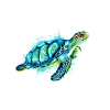 sea turtle