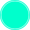 Circle turquoise self design