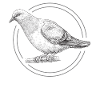 Pigeon race gift