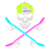 Skating Skateboard Roller Skates