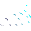 Bird migration