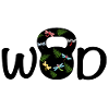 Wod Dragonfly!