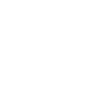 Lawyer's Brain
