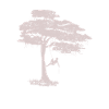 Tree climber