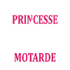 Princesse et Motarde