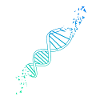 DNA double helix