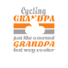 Bicycle e-bike grandpa