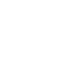 Made in 1970 authentic