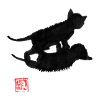 cat shadow