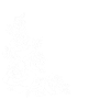 Roses Heart
