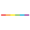 lgtb slim flag