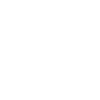 Icelandic horse