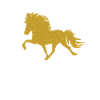 Icelandic horse
