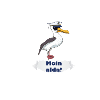 Moin alda