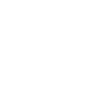 Gorilla silverback monkey
