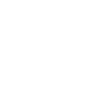 BIER STATT TIER VEGAN