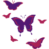 Butterflies