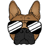 French bulldog with sunglasses Funny