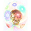 Cosmos egg with skull