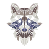 Poligono Art Geometric Raccoon Gift