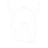 Highland Cow Doodle
