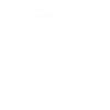 Turtle lover