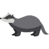 Badger