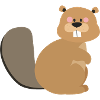 beaver