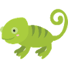 caméléon