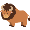 bison