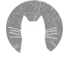 Katze