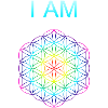 Flower of Life - I AM