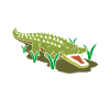 crocodile