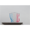 Patrouille de France air meeting