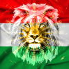 Kurdish lion