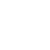 Labrador Evolution