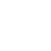 Labrador EKG