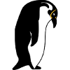 penguin