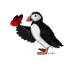 Atlantic Puffin Red Butterfly Gift