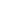 Neowise