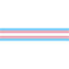 Transgender Pride Flag