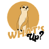 Erdmännchen, Erdmännchen süss, Erdmännchen Wache