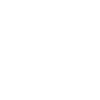 Flock of birds