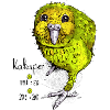 Kakapo