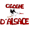 Cigogne d Alsace