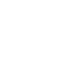 Logo 481 represent 02